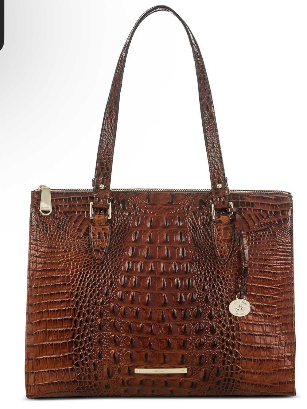 NWT NIP Brahmin Anywhere Medium Melbourne Embossed Leather Tote $498